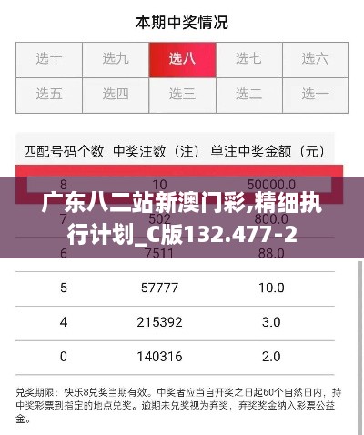 广东八二站新澳门彩,精细执行计划_C版132.477-2