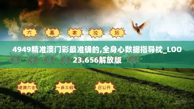 4949精准澳门彩最准确的,全身心数据指导枕_LOO23.656解放版