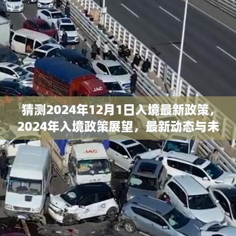 2024年入境政策最新动态与展望，未来趋势分析与猜测