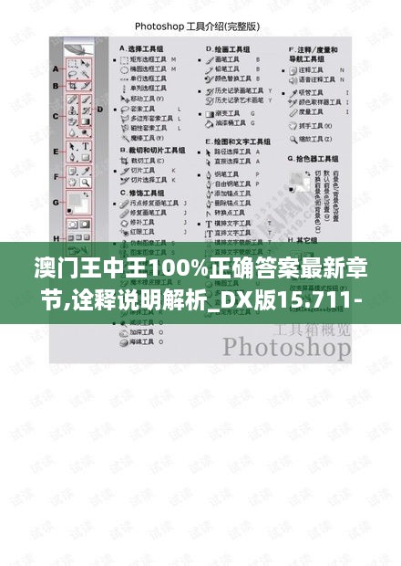 澳门王中王100%正确答案最新章节,诠释说明解析_DX版15.711-3