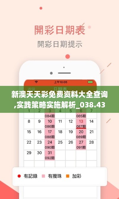 新澳天天彩免费资料大全查询,实践策略实施解析_038.434-8