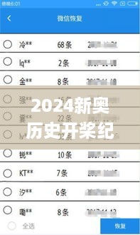 2024新奥历史开桨纪录336期,数据解析引导_KBZ90.591开放版