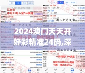 2024澳门天天开好彩精准24码,深入数据执行计划_策略版1.991-8