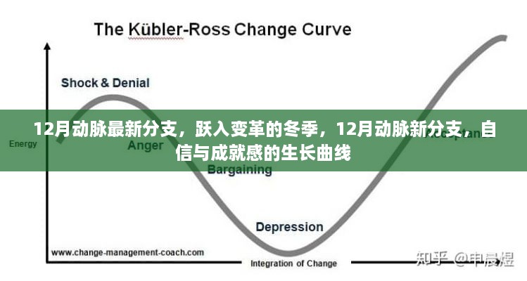 12月动脉新分支，跃入变革之冬，自信与成就感的蓬勃生长