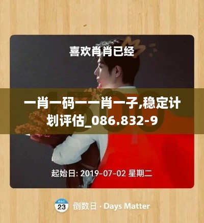 一肖一码一一肖一子,稳定计划评估_086.832-9