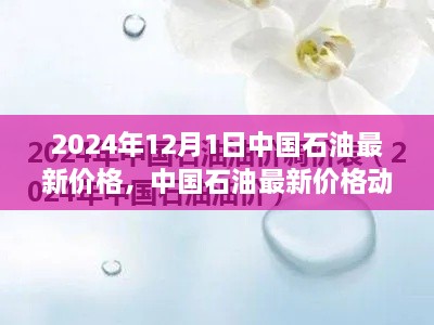 中国石油最新价格动态，聚焦油价走势分析