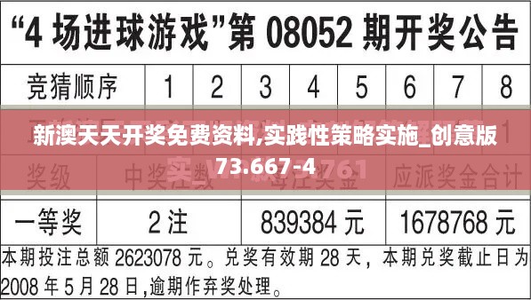 新澳天天开奖免费资料,实践性策略实施_创意版73.667-4