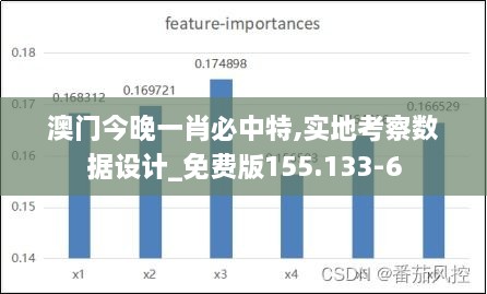 澳门今晚一肖必中特,实地考察数据设计_免费版155.133-6