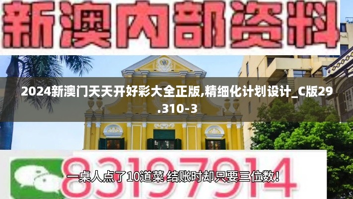 2024新澳门天天开好彩大全正版,精细化计划设计_C版29.310-3
