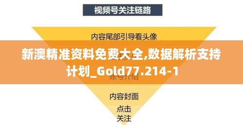 新澳精准资料免费大全,数据解析支持计划_Gold77.214-1