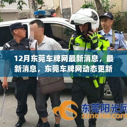 东莞车牌网十二月最新动态，三大要点解读十二月新变化及最新消息