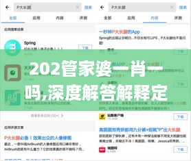 202管家婆一肖一吗,深度解答解释定义_app97.939-6