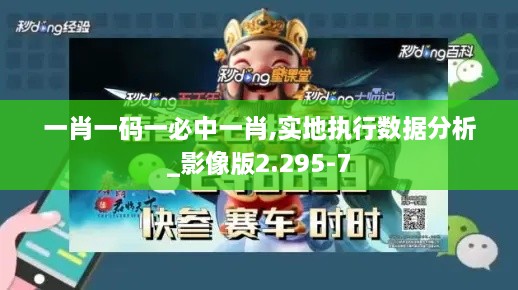 一肖一码一必中一肖,实地执行数据分析_影像版2.295-7