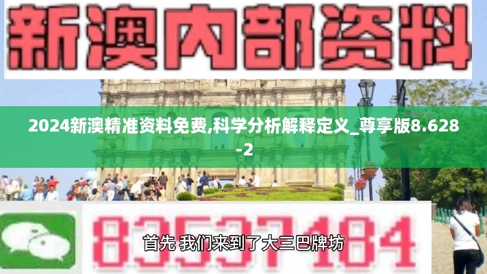 2024新澳精准资料免费,科学分析解释定义_尊享版8.628-2