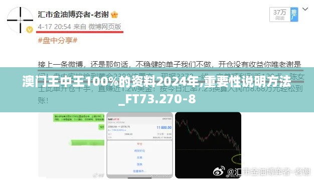 澳门王中王100%的资料2024年,重要性说明方法_FT73.270-8