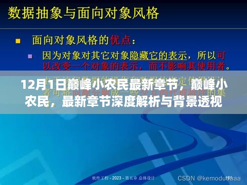 巅峰小农民最新章节深度解析与背景透视，12月1日更新动态速递