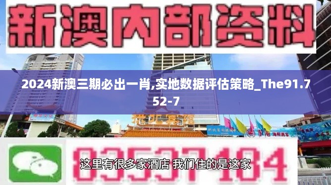 2024新澳三期必出一肖,实地数据评估策略_The91.752-7