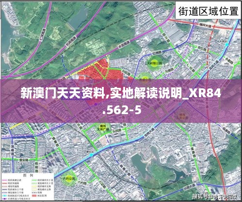 新澳门天天资料,实地解读说明_XR84.562-5