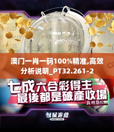 澳门一肖一码100%精准,高效分析说明_PT32.261-2
