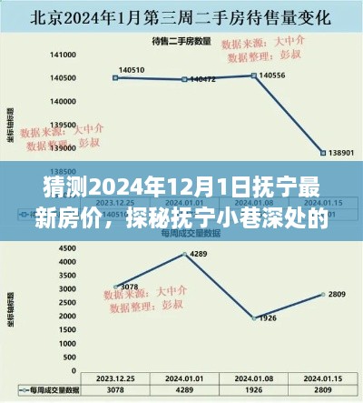 抚宁最新房价预测与小巷风情探秘，特色小店魅力世界中的房价走势展望（2024年）