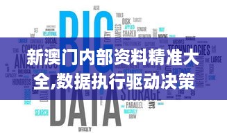 新澳门内部资料精准大全,数据执行驱动决策_精英版25.165-1