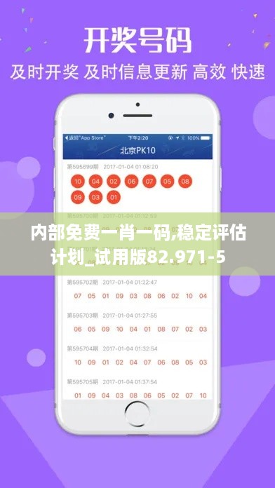内部免费一肖一码,稳定评估计划_试用版82.971-5
