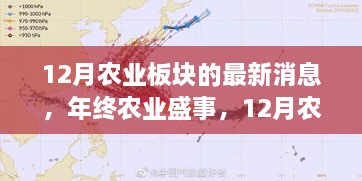 年终农业盛事回顾，12月农业板块最新消息详解