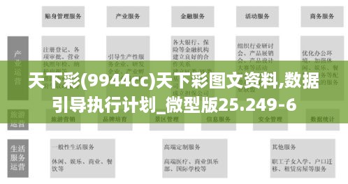 天下彩(9944cc)天下彩图文资料,数据引导执行计划_微型版25.249-6
