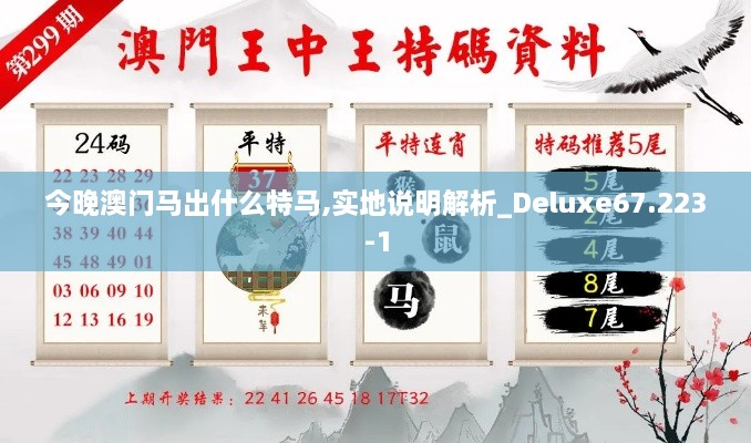 今晚澳门马出什么特马,实地说明解析_Deluxe67.223-1