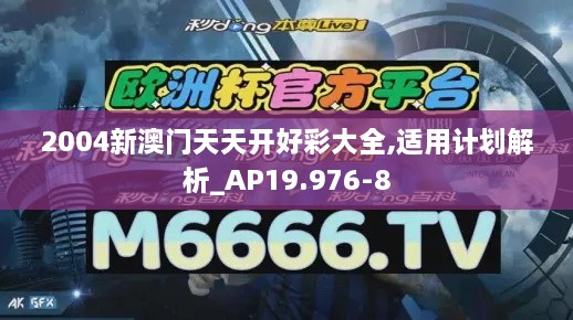 2004新澳门天天开好彩大全,适用计划解析_AP19.976-8