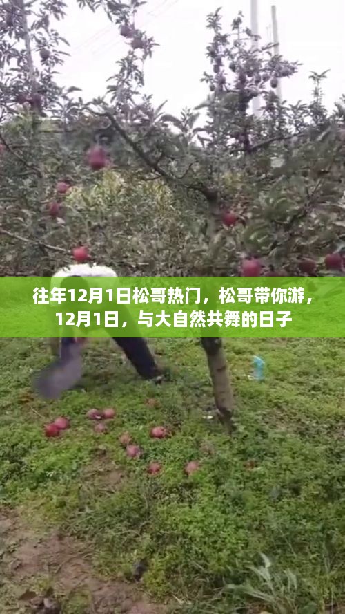 松哥带你游，12月1日与大自然的共舞盛宴