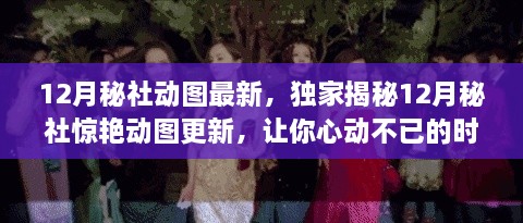 独家揭秘，时尚潮流新风尚——12月秘社惊艳动图更新来袭！