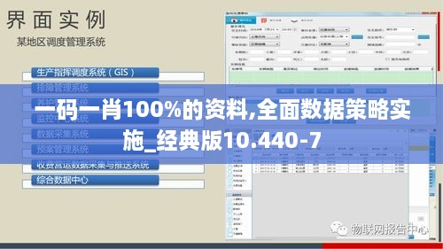 一码一肖100%的资料,全面数据策略实施_经典版10.440-7