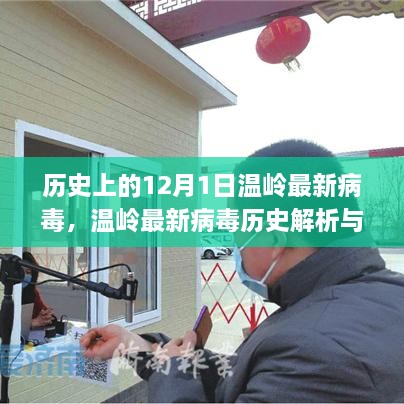 温岭最新病毒历史解析与应对策略，全面指南（12月1日版）