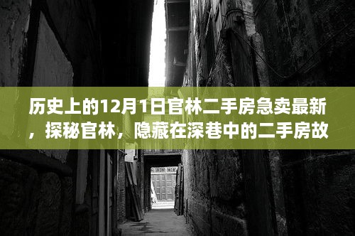 duyiwuer 第3页