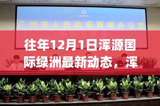 往年12月1日浑源国际绿洲最新动态深度解析与评测报告
