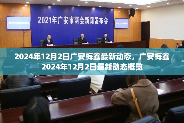 群龙无首 第4页