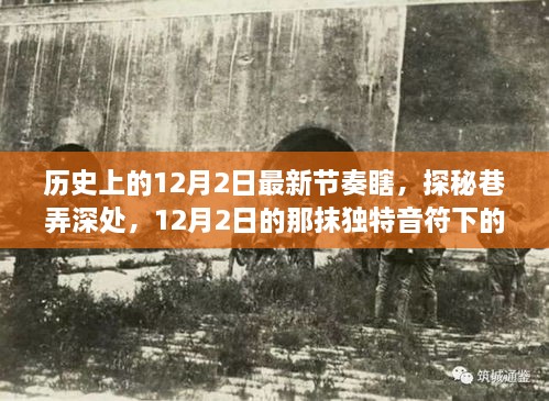 12月2日独特音符下的巷弄美食宝藏，历史节奏与隐秘宝藏探秘