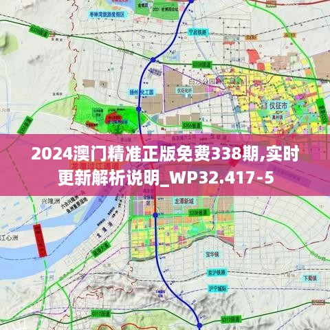 2024澳门精准正版免费338期,实时更新解析说明_WP32.417-5