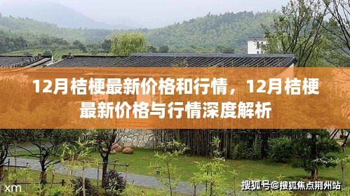 不屈不挠 第3页