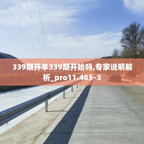 339期开羊339期开始吗,专家说明解析_pro11.485-3