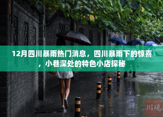 四川暴雨下的惊喜，小巷特色小店探秘与热门暴雨消息回顾