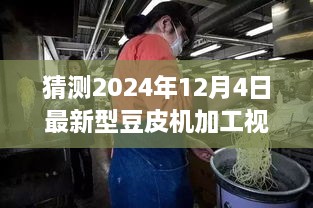 独家揭秘，探寻小巷深处的豆皮机传奇，揭秘最新型豆皮机加工视频，探寻未来趋势展望（2024年豆皮加工技术前沿）