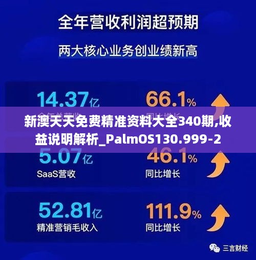 新澳天天免费精准资料大全340期,收益说明解析_PalmOS130.999-2