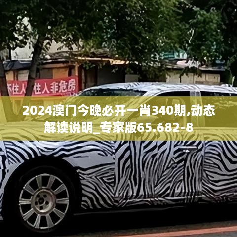 2024澳门今晚必开一肖340期,动态解读说明_专家版65.682-8