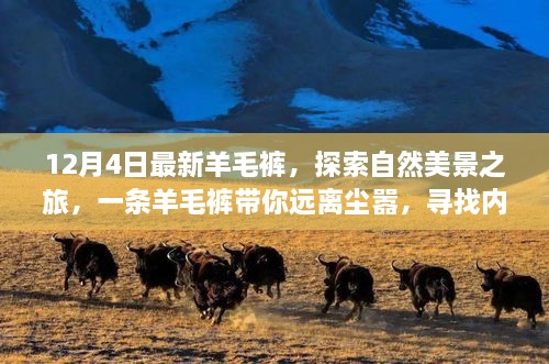 12月新款羊毛裤，踏寻自然美景，追寻内心宁静与平和的旅程