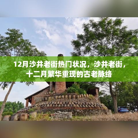 沙井老街12月繁华再现，古老脉络中的热门盛况
