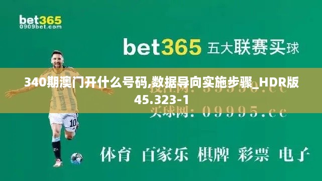 340期澳门开什么号码,数据导向实施步骤_HDR版45.323-1