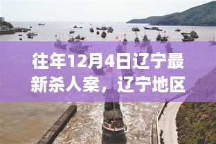 辽宁地区往年12月4日杀人案深度解析，案件特性、竞品对比及用户群体全面剖析