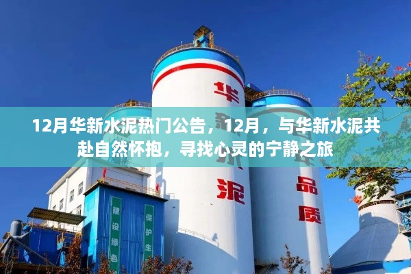 华新水泥的宁静之旅，探寻自然怀抱的心灵之旅公告